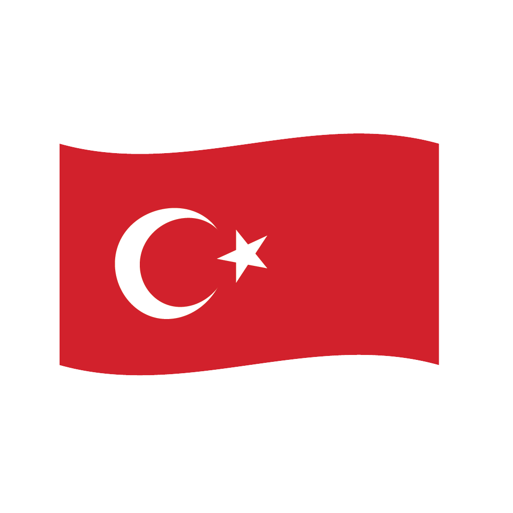 Flag2 Illustrator-35