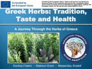 EcoRASMOUS_Plants_Herbs.pdf