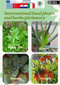 International-plants-and-herbs-pictionary.pdf