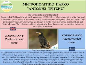 birds_tritsi_life.pdf