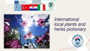 International-local-plants-and-herbs-pictionary.pdf