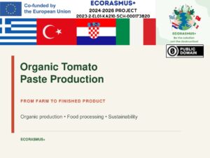 Organic_Tomato_Paste_Production_with_Photos.pdf