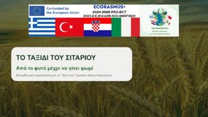 Journey-of-wheat.pdf